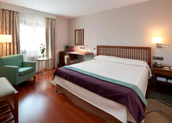 De ホテル ビジャフランカ・デル・ビエルソ